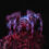 Nature at Night: UV Gotta See This